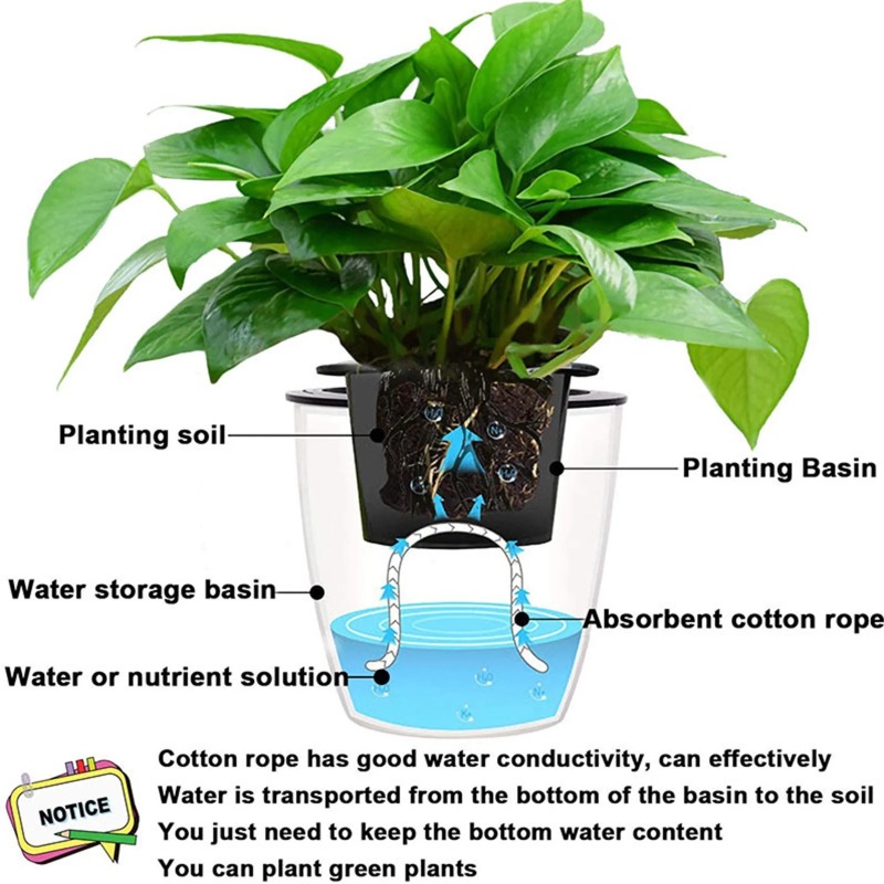4/5/6mm Self-Watering Cotton R - Urban Farming System reseña y precio