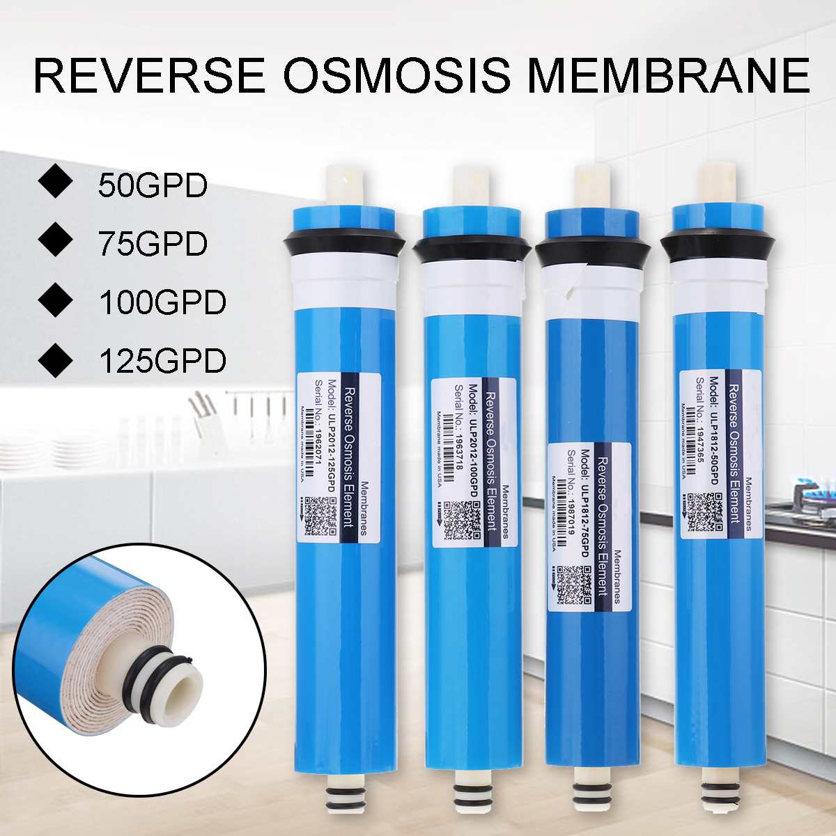 Home Kitchen Reverse Osmosis R - Carbon Filter Inline reseña y precio